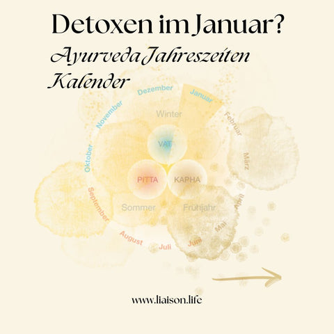 🌿 Detox im Winter: Harmonie für Körper und Geist aus der Sicht des Ayurveda