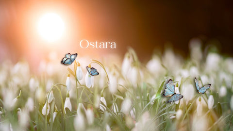 Ostara 💐🦋🐰🪺