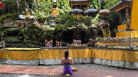 Reinigung für Körper, Geist & Nervensystem