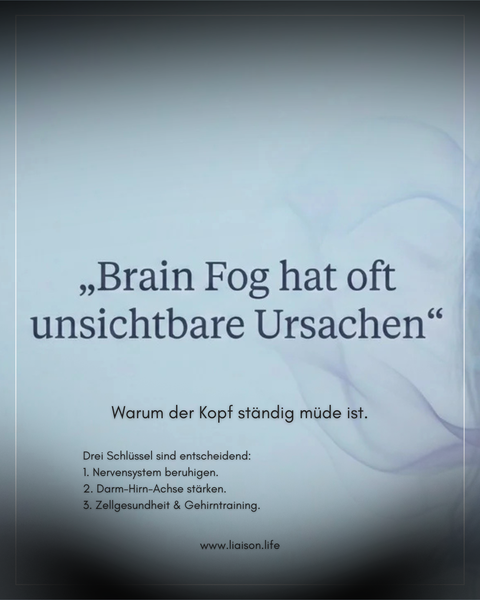 Mentale Klarheit für Frauen 35+: So versorgst du dein Gehirn richtig